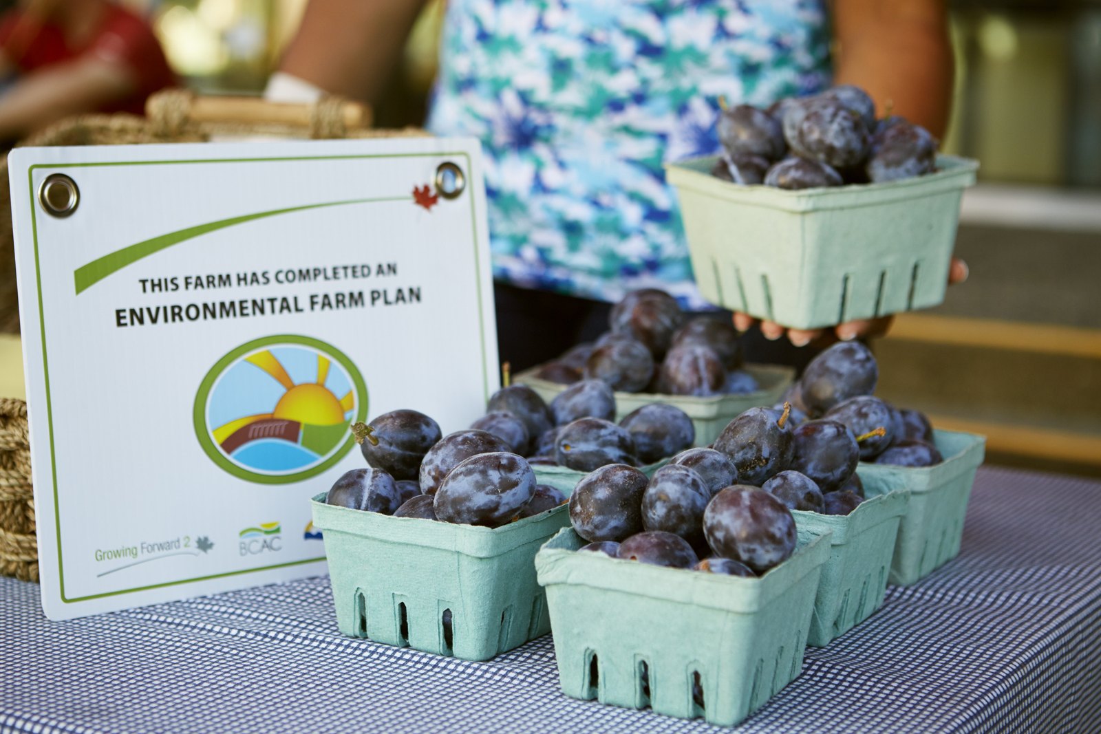 Latin America Proposes $2.3B to Fight Hunger
