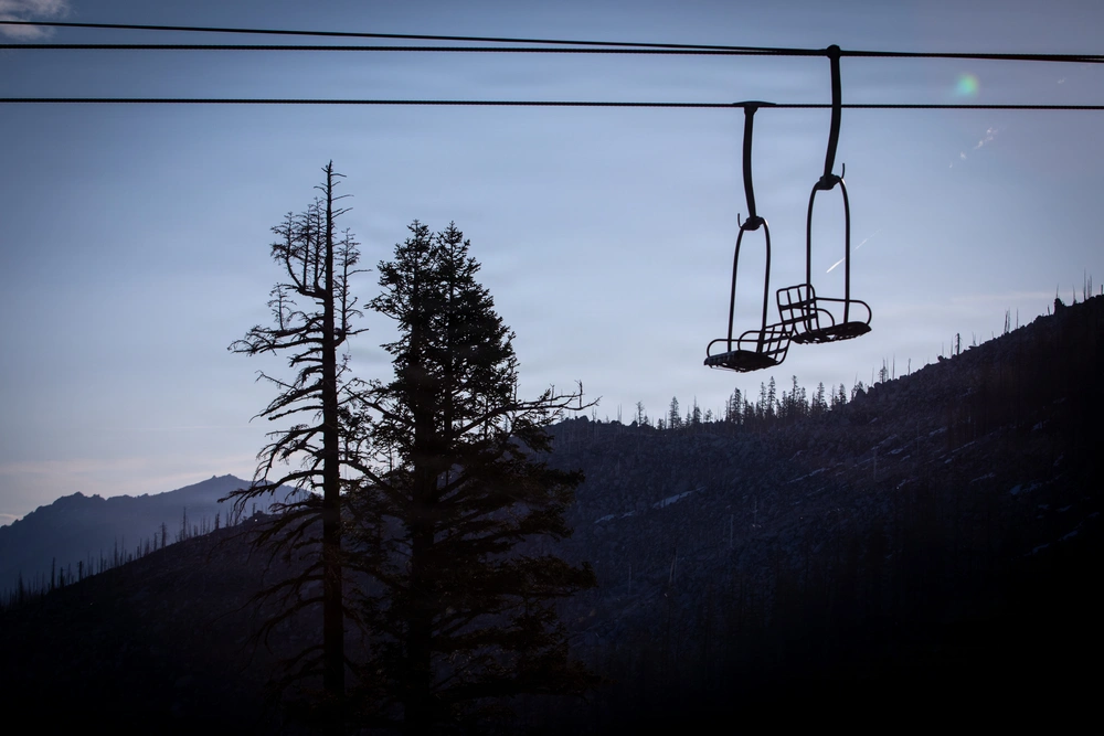 250,000 Trees Planted After California's Caldor Fire