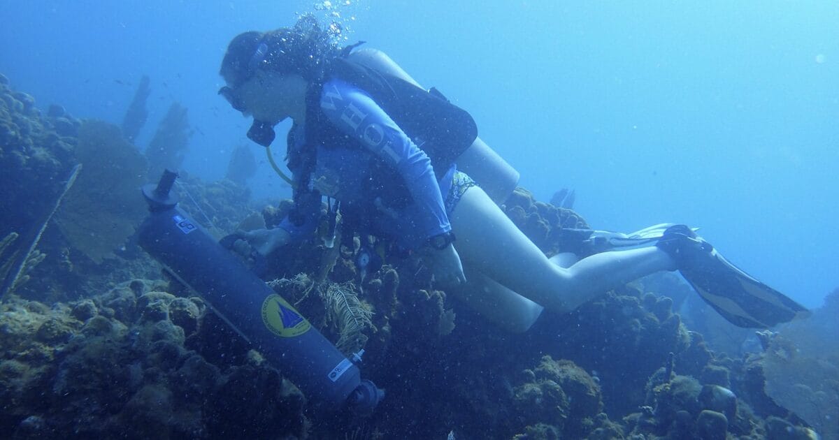 Scientists Find Early Warning System Hidden in Reef Water