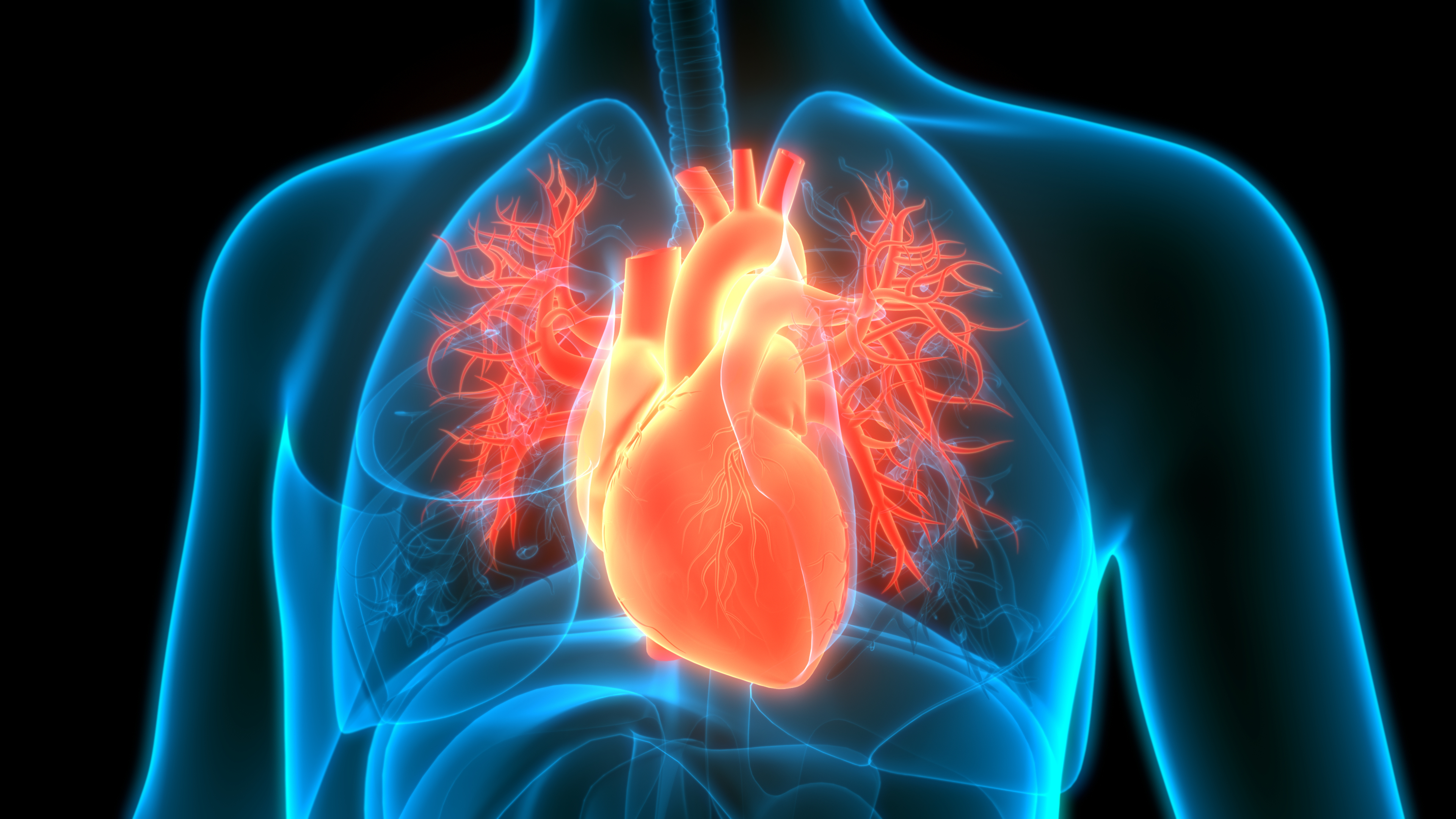 Scientists Map Heart Failure at Single-Cell Level