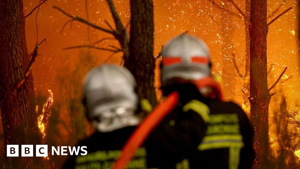 AI Cameras Spot Wildfires 15 Minutes Before First Call