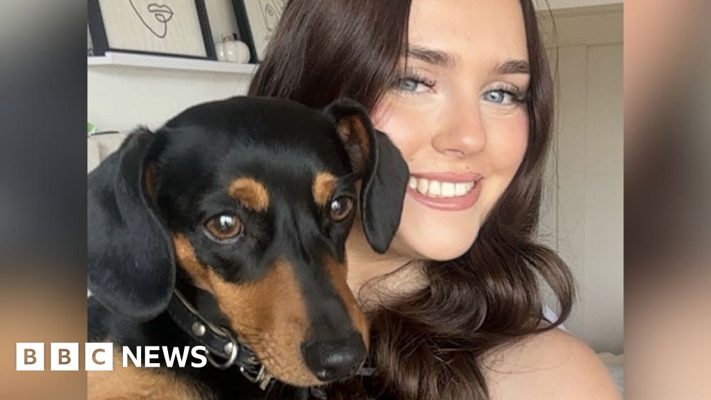 Small brown dachshund dog named Mabel sitting safely after being rescued from motorway escape