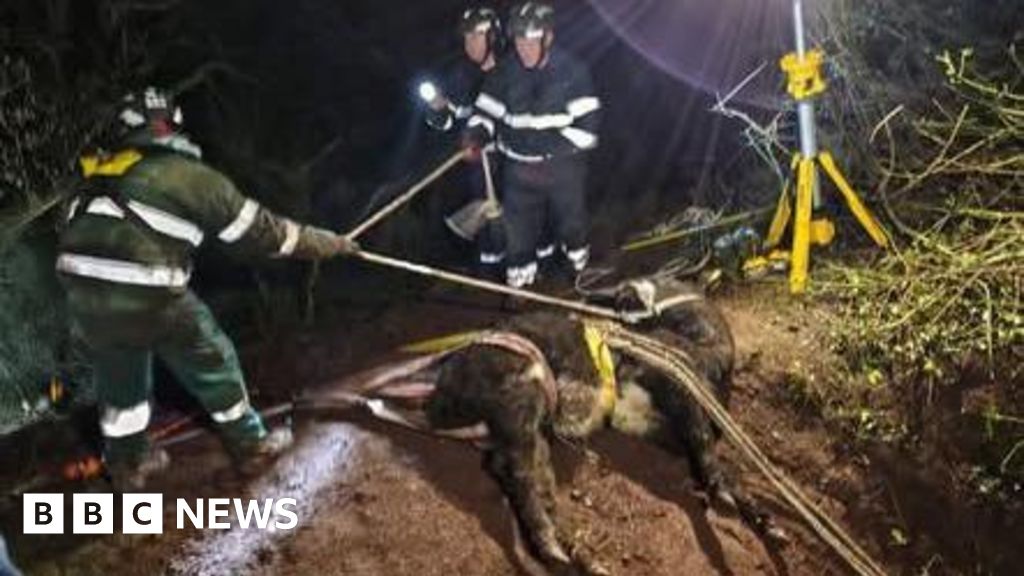 Shropshire Firefighters Rescue Cow from Deep Hole