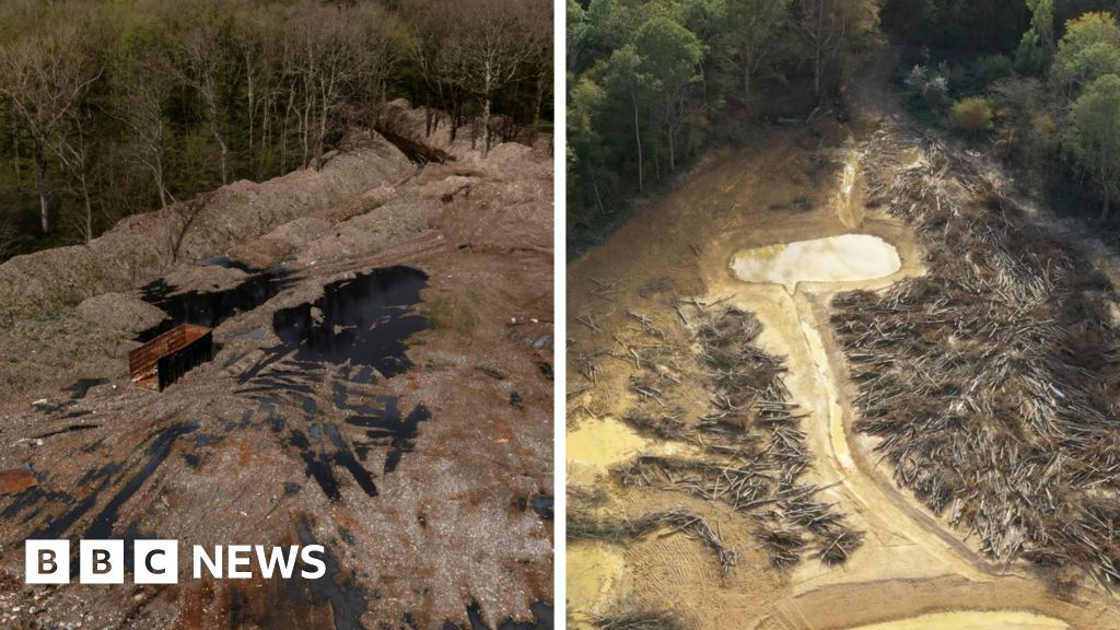£15M Cleanup Returns Ancient Woodland to Community