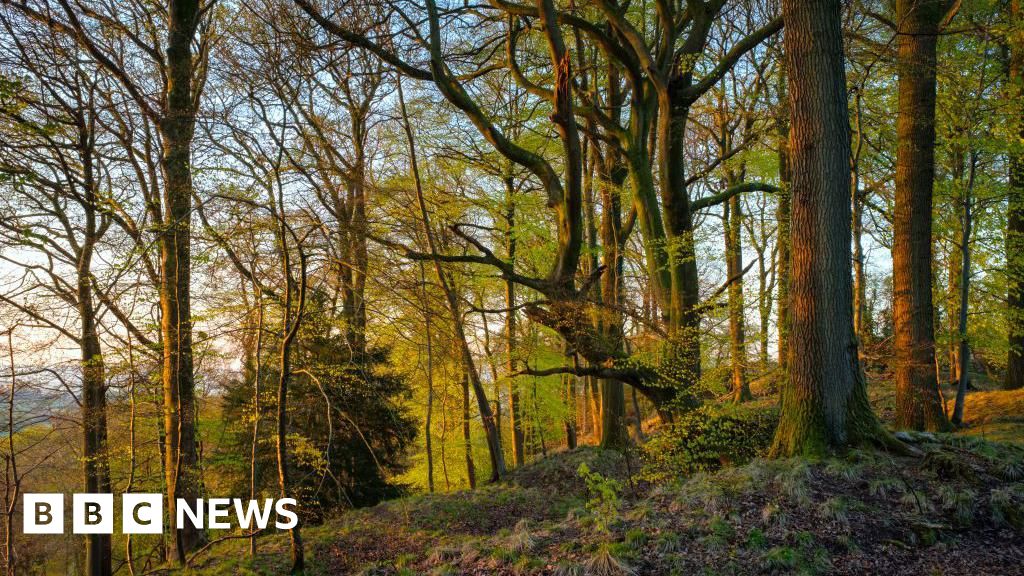 Wildlife Trust Creates 11 Recovery Zones for Attenborough