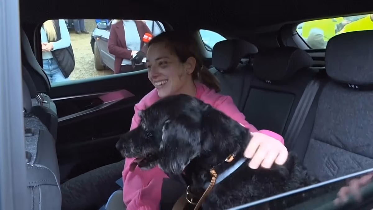 Missing Dog Boro Found Safe After Spain Train Crash