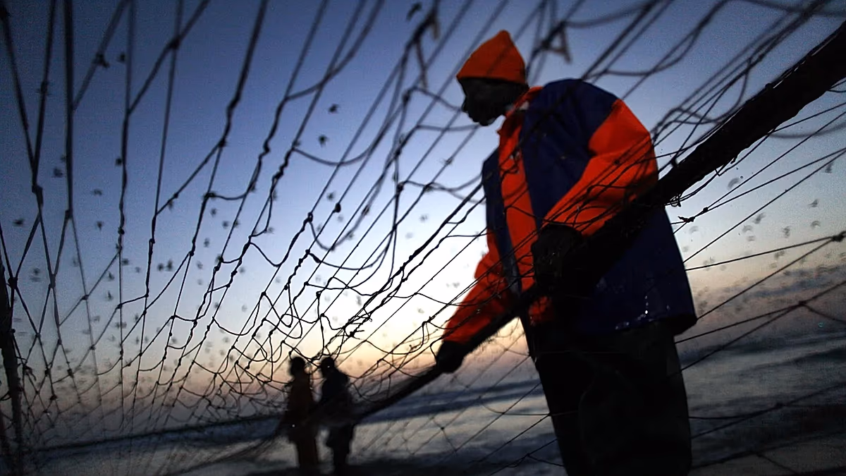 Portuguese fishermen pulling fishing nets from the ocean onto a beach near Lisbon