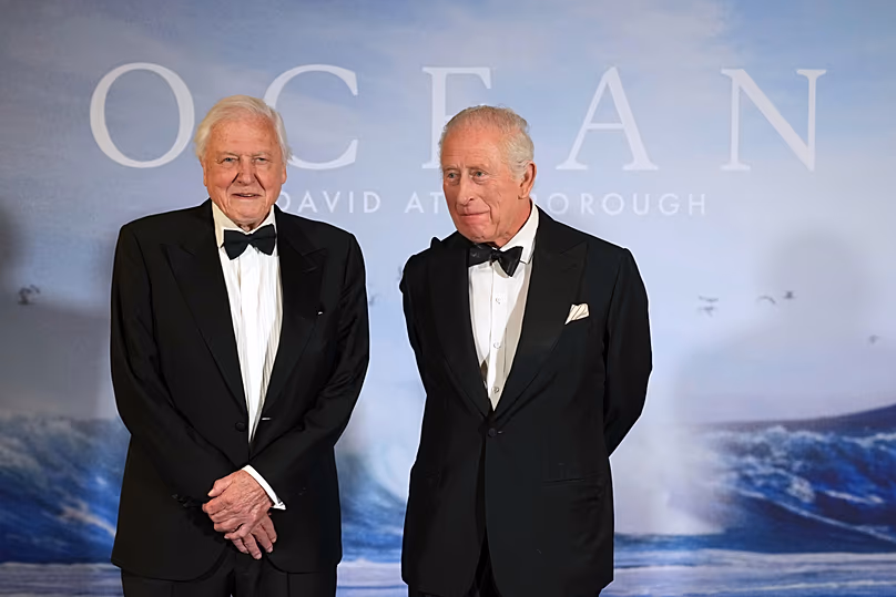 David Attenborough's 100th Birthday Gets Royal Concert - Image 2