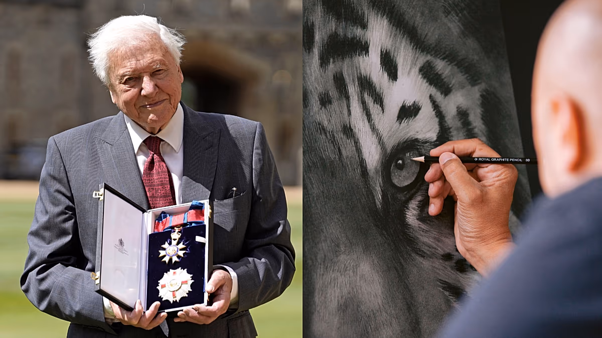 David Attenborough Turns 100, Inspiring Artists Worldwide