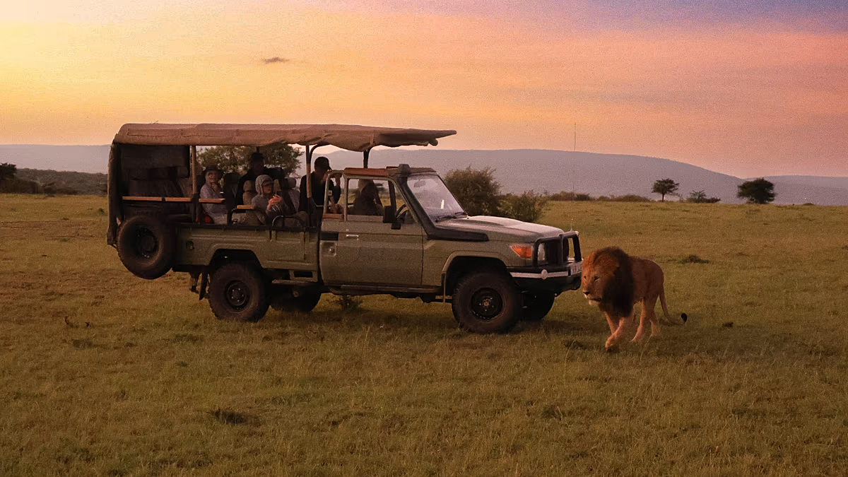 Africa's New Safari Lodges Redefine Eco-Luxury Travel