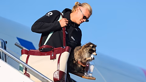Norway Tourism Soars 200% After World Cup Viking Craze - Image 2
