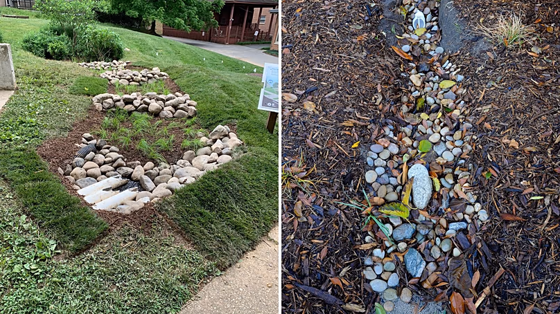 Rain Gardens Turn Your Yard Into a Flood Fighter - Image 3