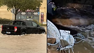 Spanish Police Save Family and Dogs From Floods - Image 4