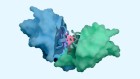 Scientists Use AI to Design New Life Forms from Scratch - Image 4