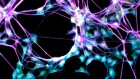 Daily Multivitamin Slows Aging by 4 Months in Study - Image 3