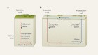 Scientists Chase Jet to Cut Aviation's Climate Impact - Image 5