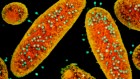 Scientists Embrace AI But Humans Still Outperform Best Bots - Image 3