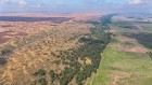 Trees and Tech Both Needed to Fight Climate Change - Image 4