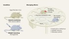 New MS Treatment Creates Healing Cells Inside the Body - Image 5