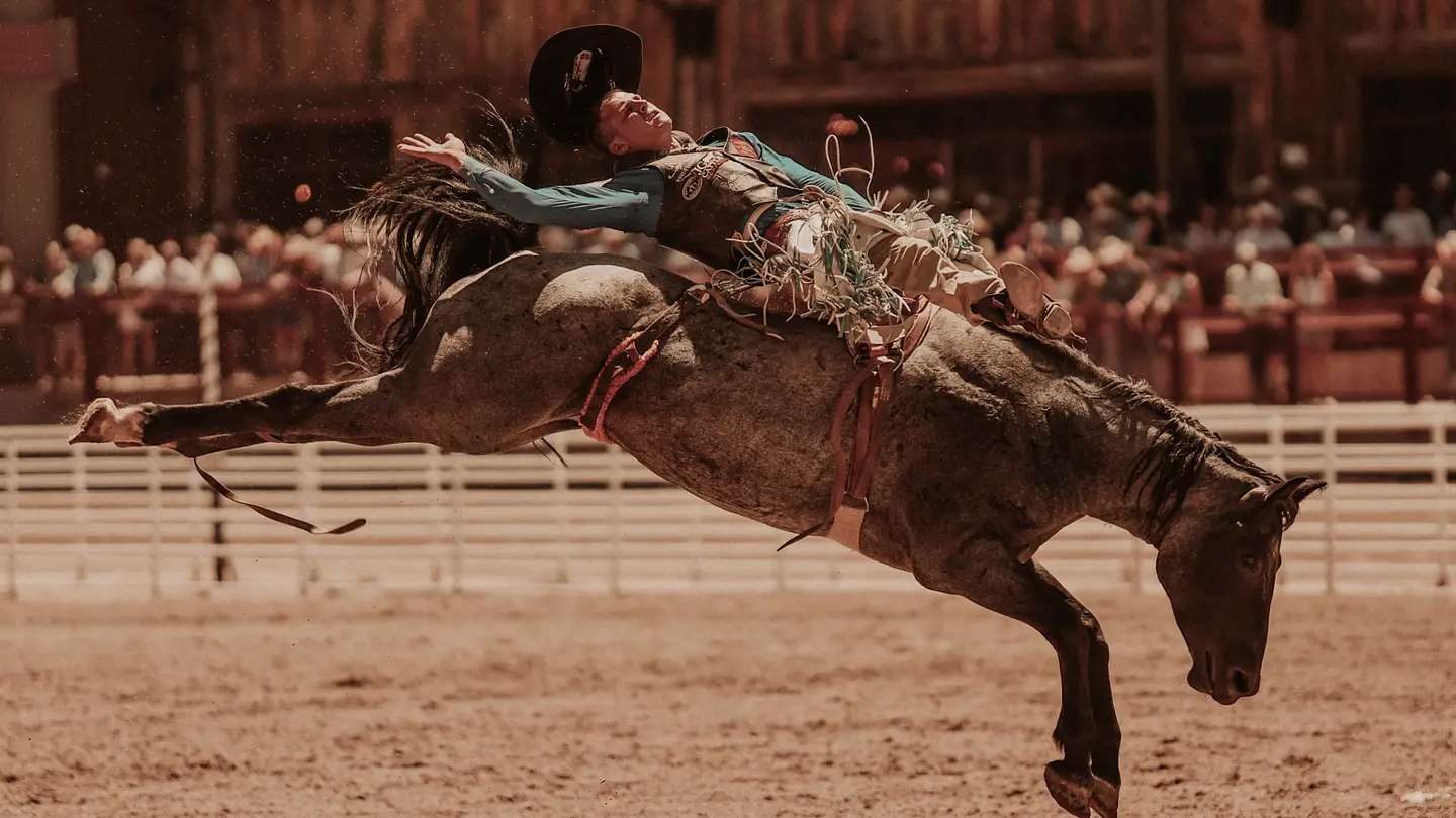 Rodeo Underdogs Score Big Wins in Montana Arena