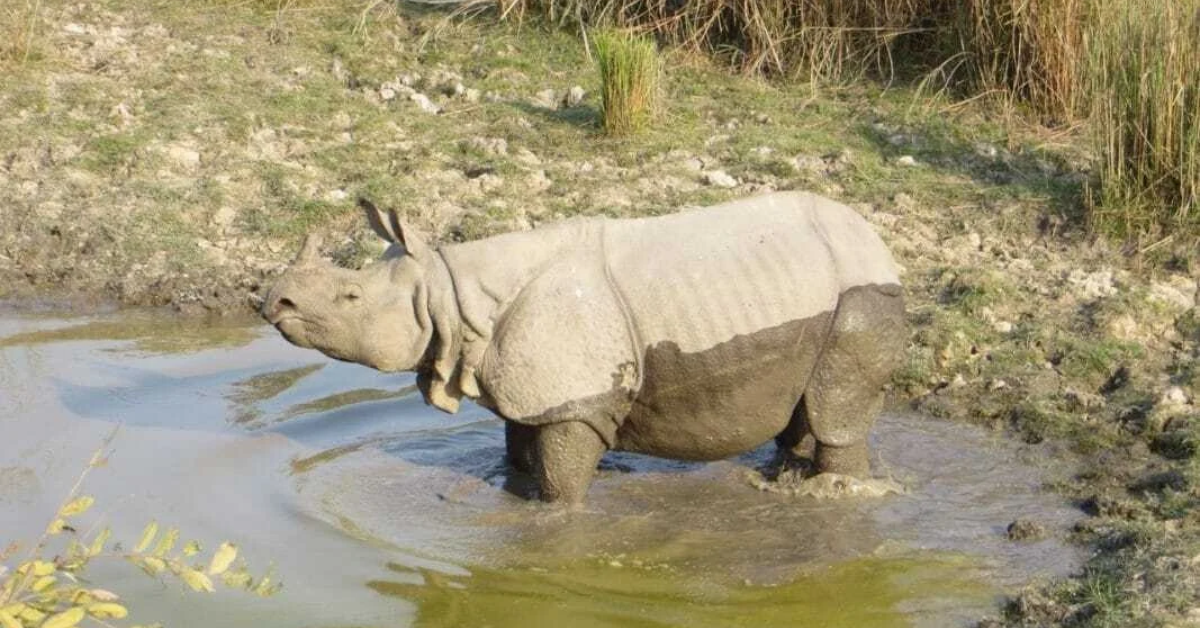 630 People Discover Ziro's Hidden Wildlife at New Festival - Image 4