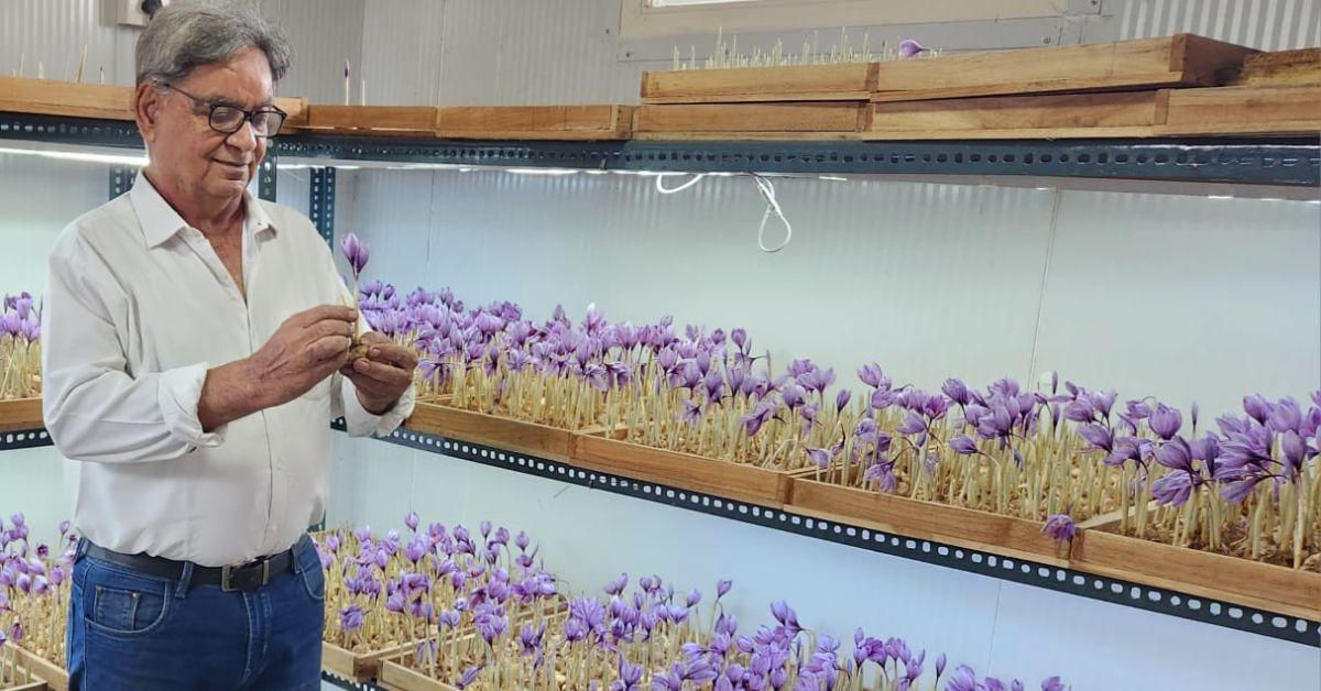 Ex-Corporate Worker Earns $14K Monthly Growing Microgreens - Image 4