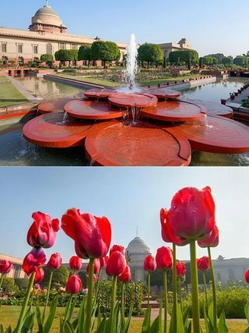 Delhi Opens President's Garden Free Through March 31