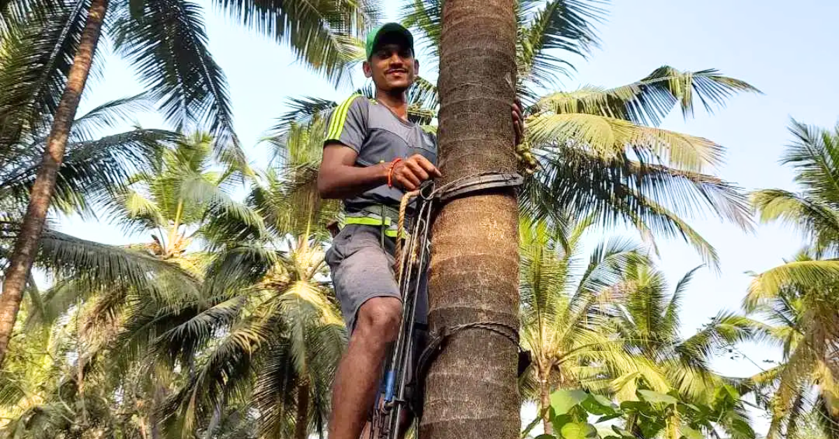 Rohan Nazareth standing barefoot on his coconut farm in Mulgao, Goa, surrounded by harvested coconuts