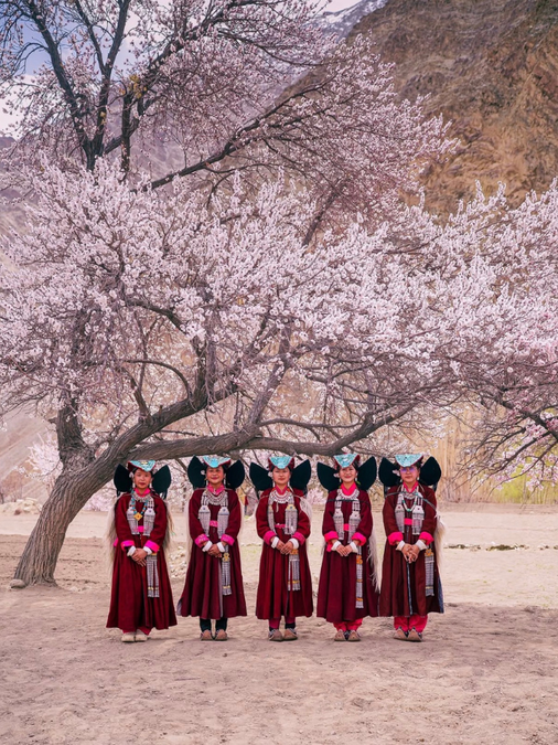 Ladakh's Apricot Festival Brings Income to Remote Villages