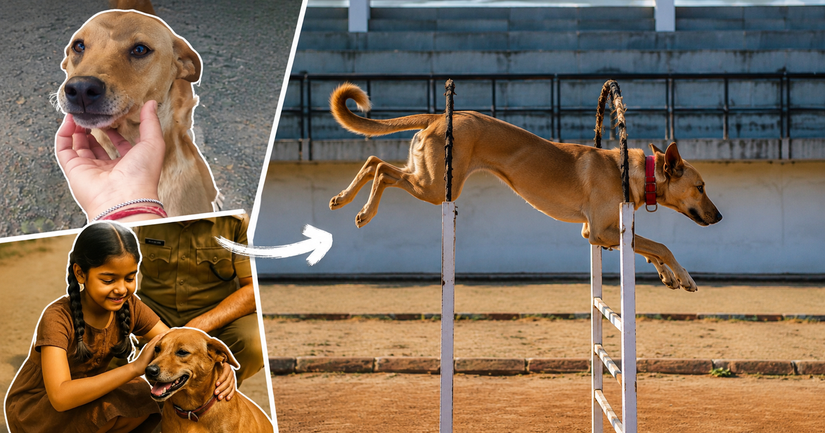 Rescued Street Dog Becomes India's Elite Police K9