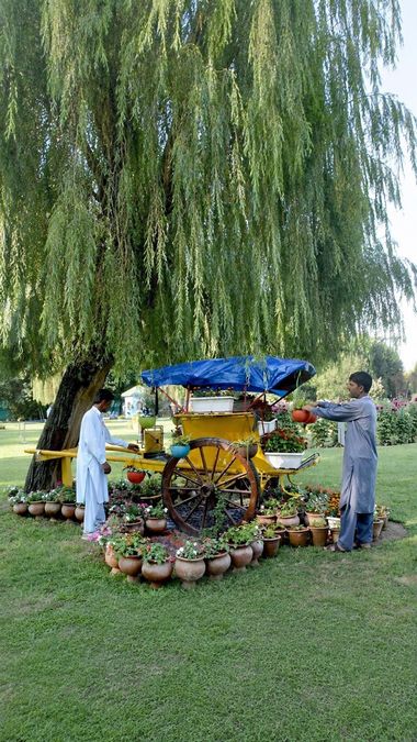 Srinagar Turns Old Cars and Plastic Bottles Into Garden
