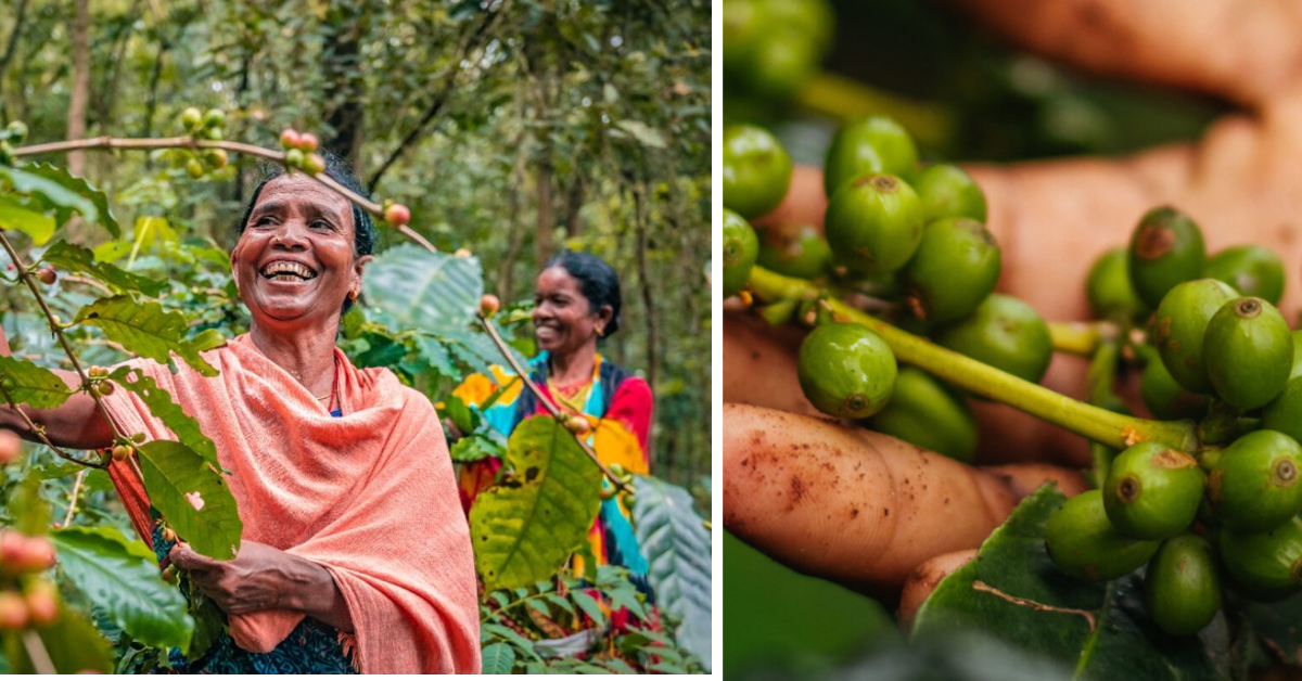 Forest Coffee from India Reaches Global BRICS Summit