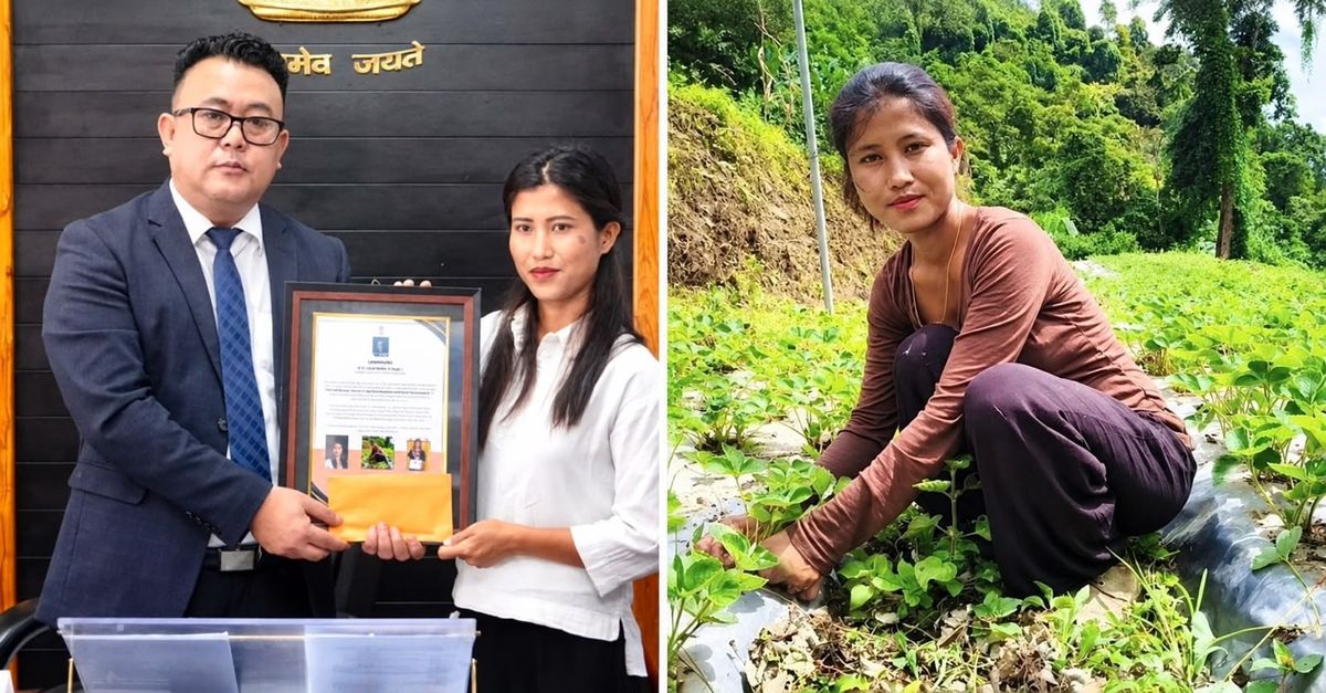 Mizoram Teacher Grows 10,000 Strawberries, Joins UN List