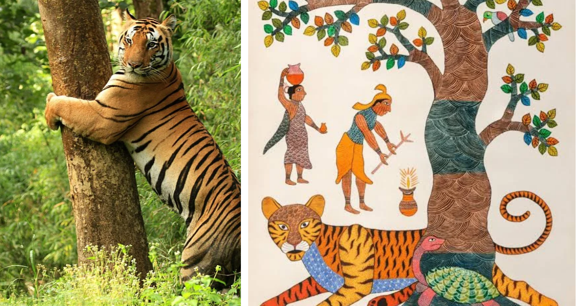 India's Gond Tribe Teaches Coexistence with Tigers