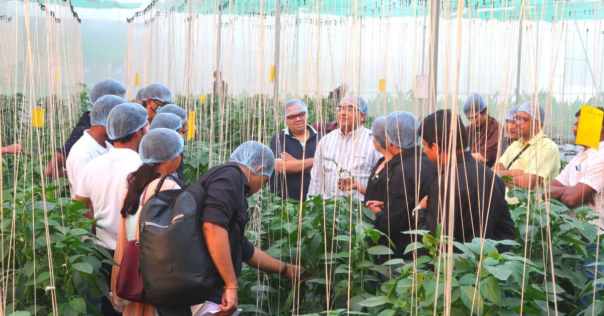 3 Friends Build Hydroponics Empire, Train 35,000 in India