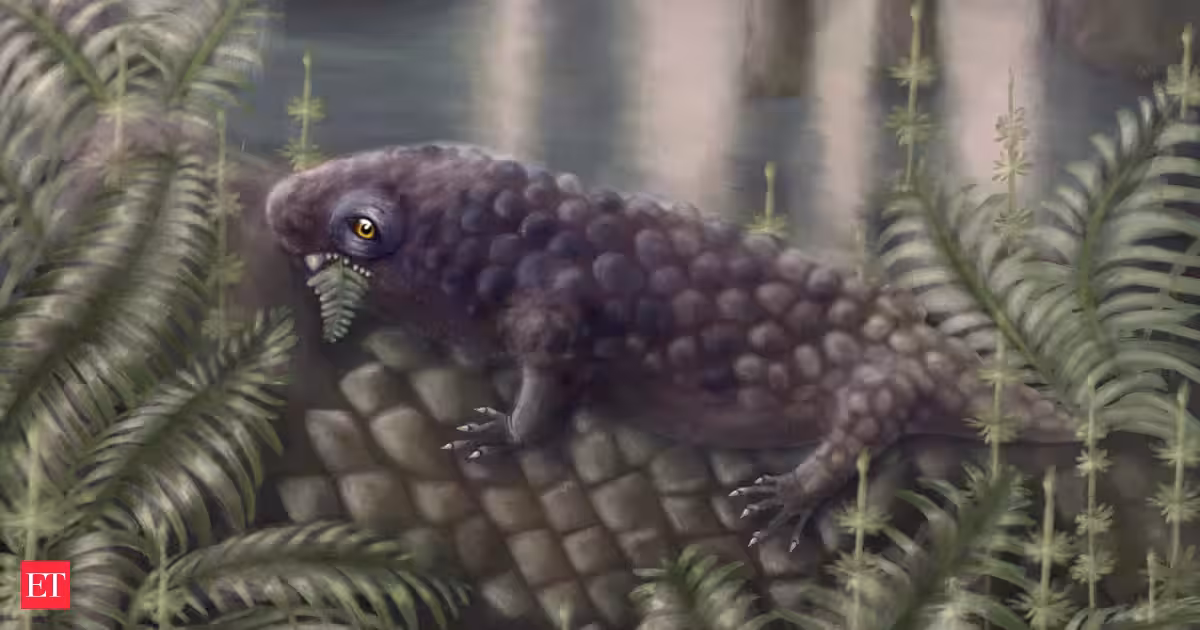 315-Million-Year-Old Fossil May Be First Plant-Eating Animal
