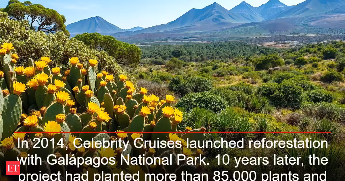 Cruise Guests Plant 85,000 Trees in Galápagos Over 10 Years