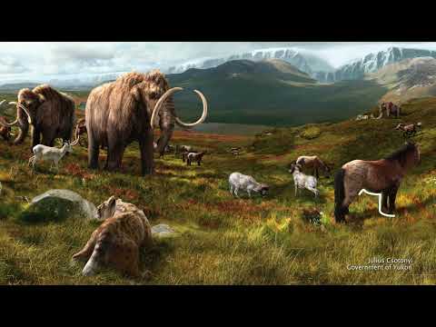 Ancient Squirrel Poop Preserves 700,000 Years of DNA - Image 3