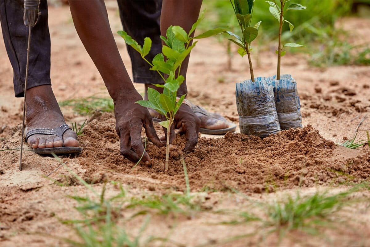 Six African Nations Pause Deep-Sea Mining for Ocean Health - Image 5