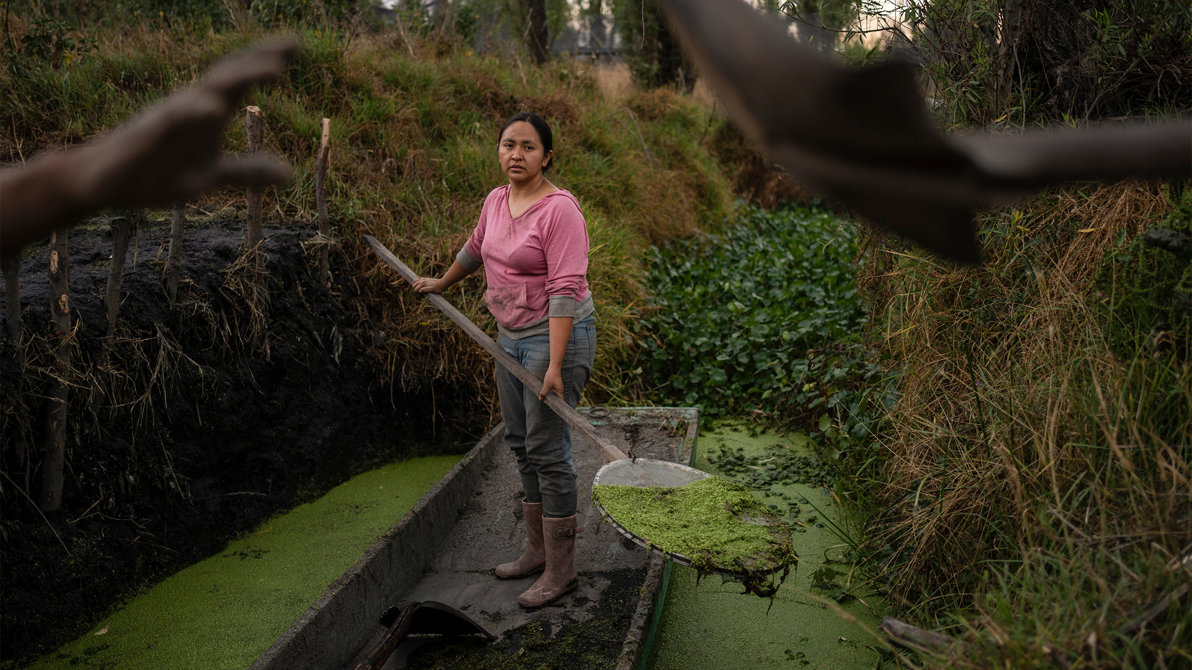 ** Traditional floating farms or chinampas in Mexico City with crops growing on water