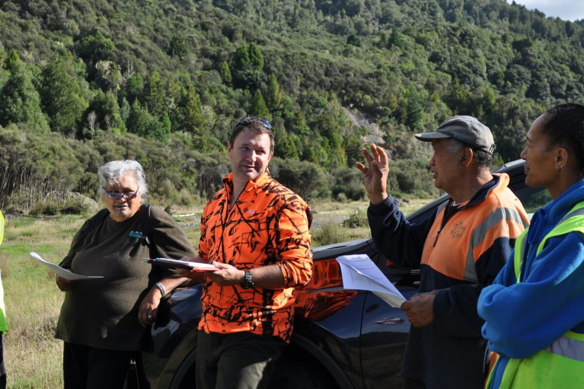 Māori Elders Document 75 Years of Forest Change in New Zealand - Image 2