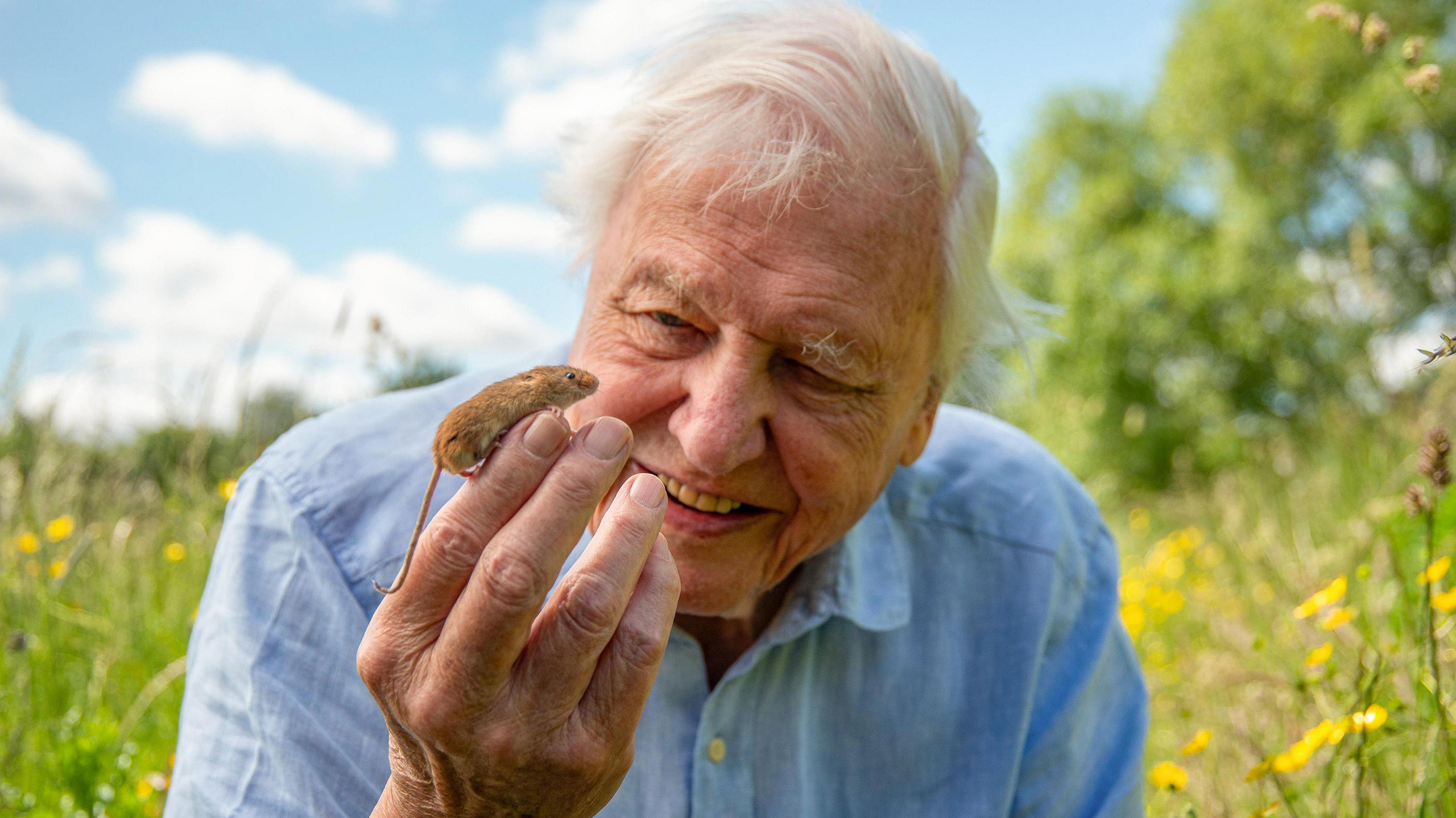David Attenborough Turns 100 Still Sharing Earth's Wonders
