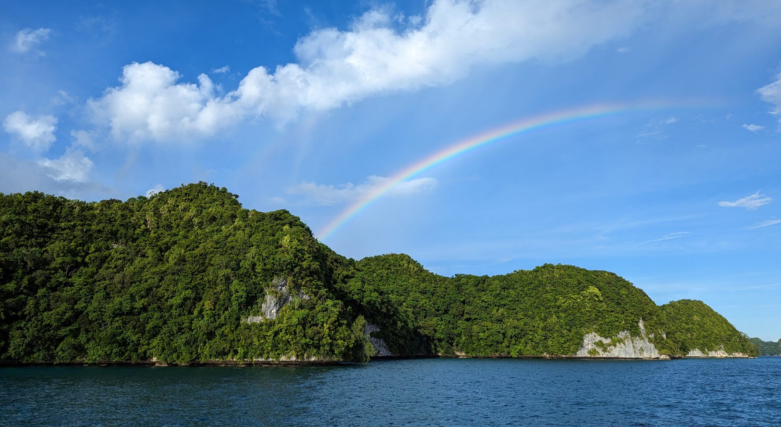 Rat Removal Brings Island Ecosystem Back in Just One Year