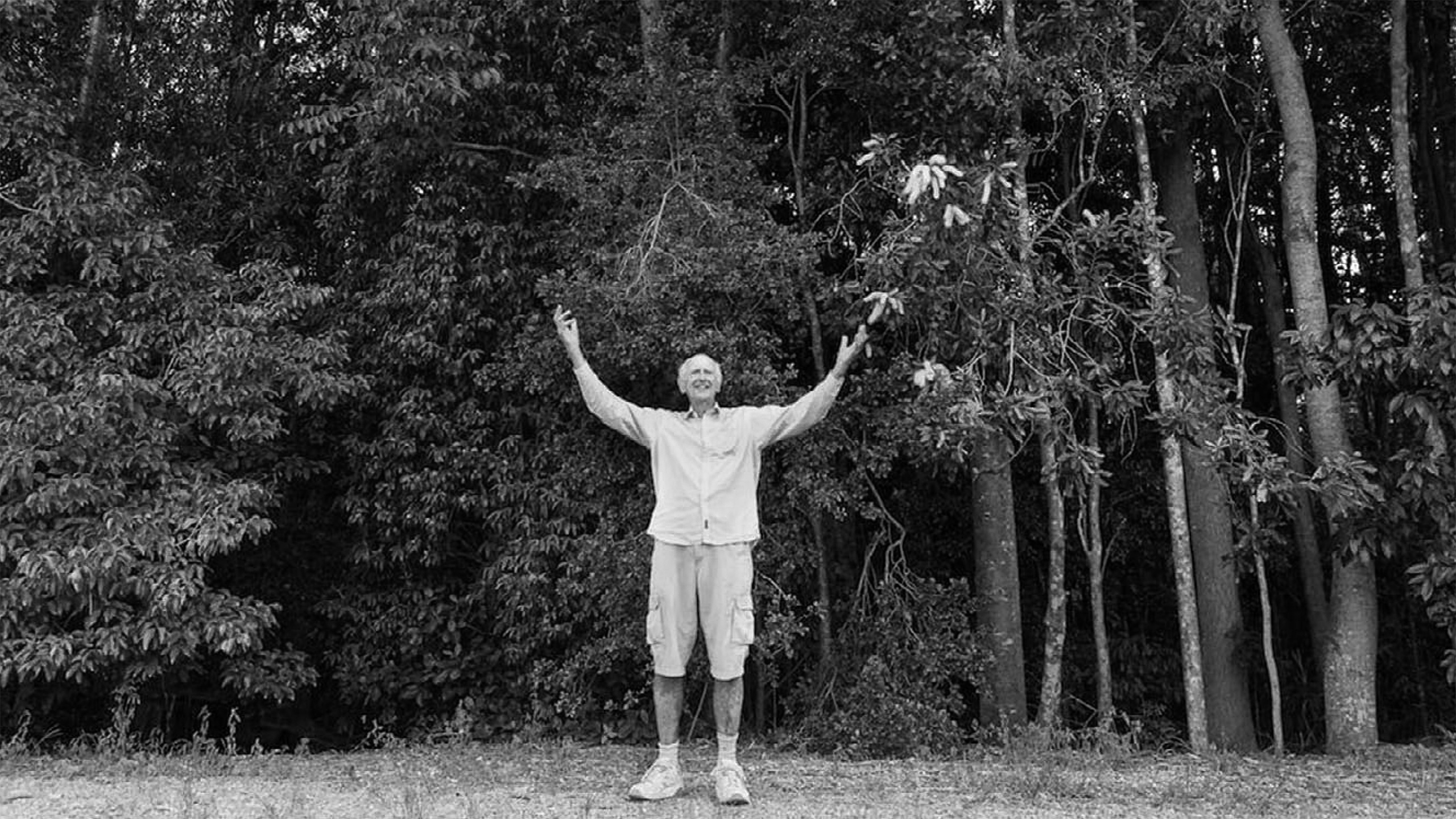 Banker Quits to Plant Millions of Trees in Australian Rainforest