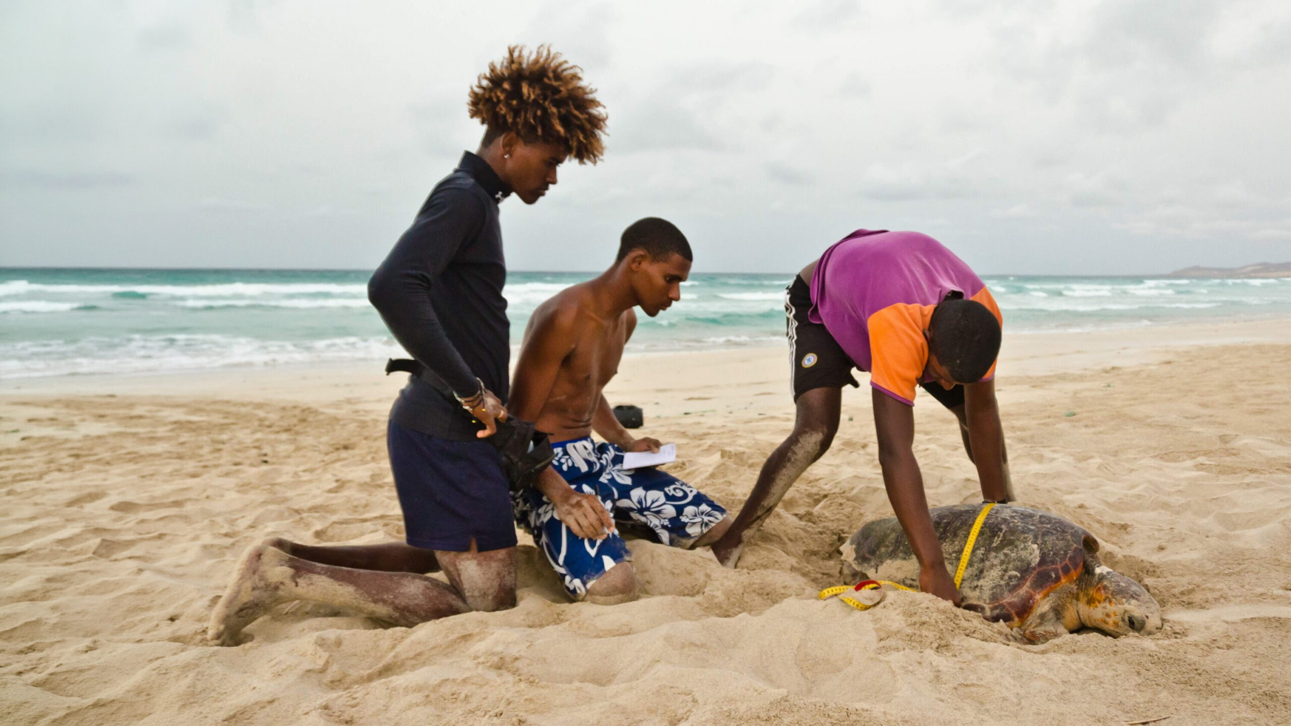 Former Turtle Hunters Now Protect Them in Cabo Verde