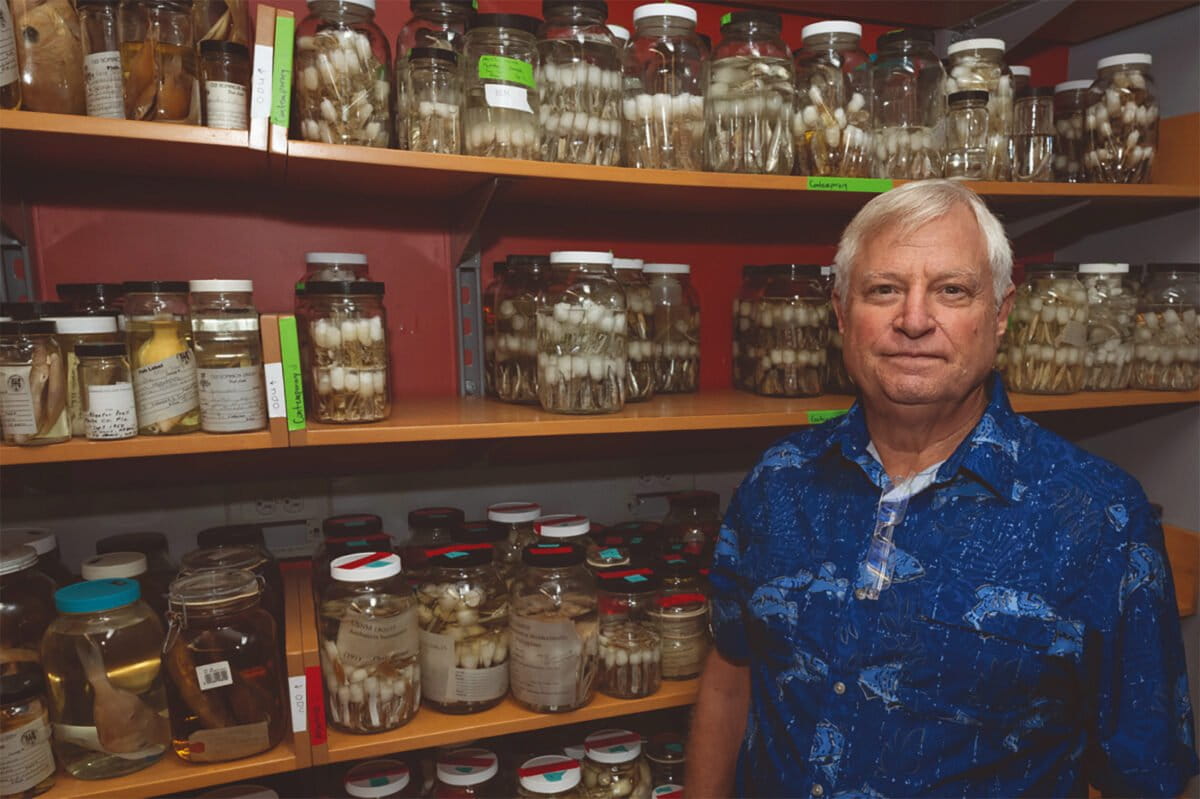 Marine Biologist's 50-Year Legacy Maps Ocean Biodiversity - Image 4