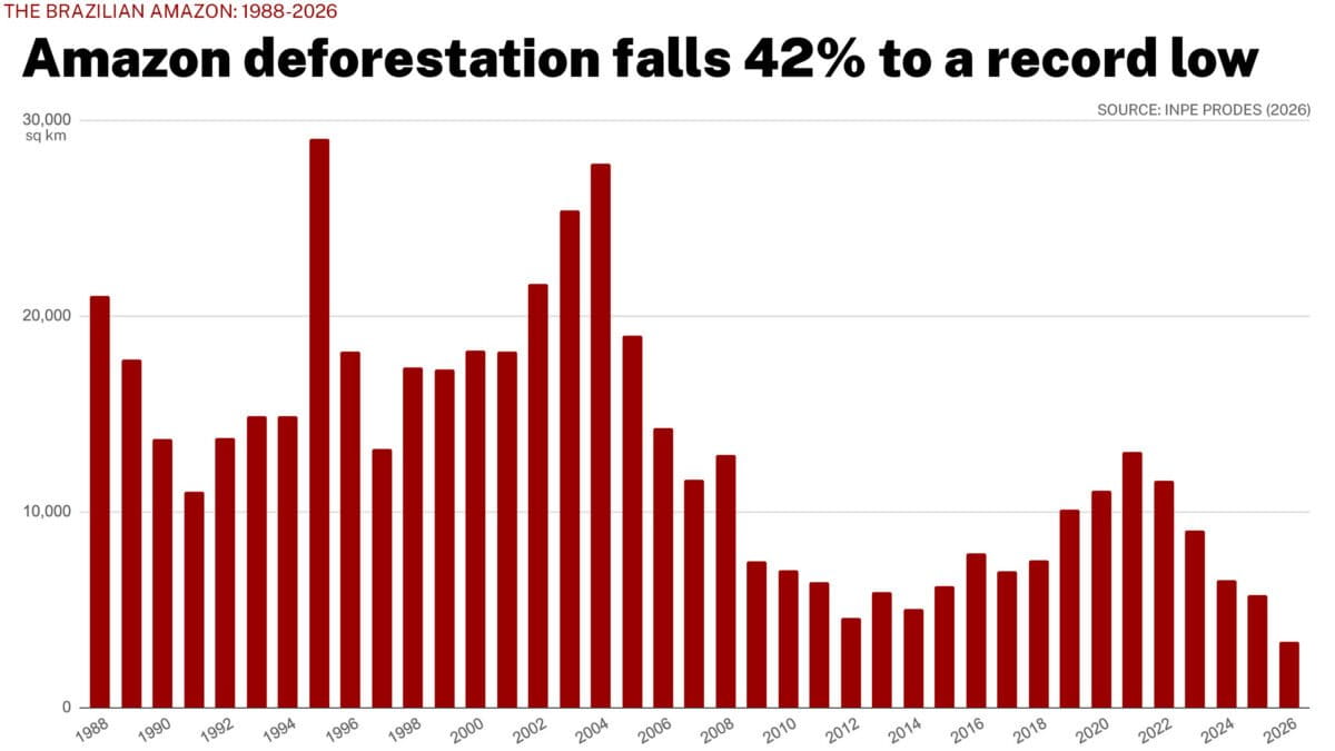 Amazon Deforestation Drops 42% to Record Low in Brazil - Image 4