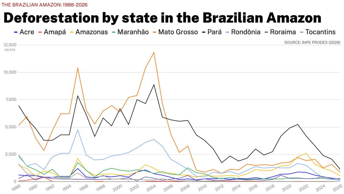 Amazon Deforestation Drops 42% to Record Low in Brazil - Image 5
