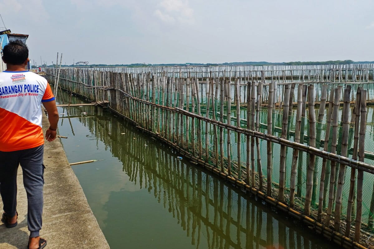 Philippine Village Stops Floods With Bamboo and Shells