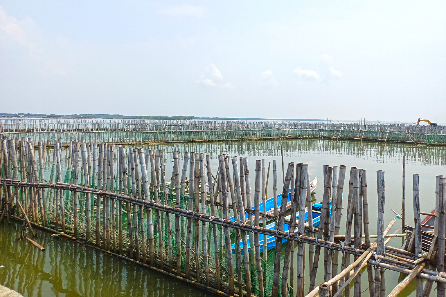 Philippine Village Stops Floods With Bamboo and Shells - Image 2